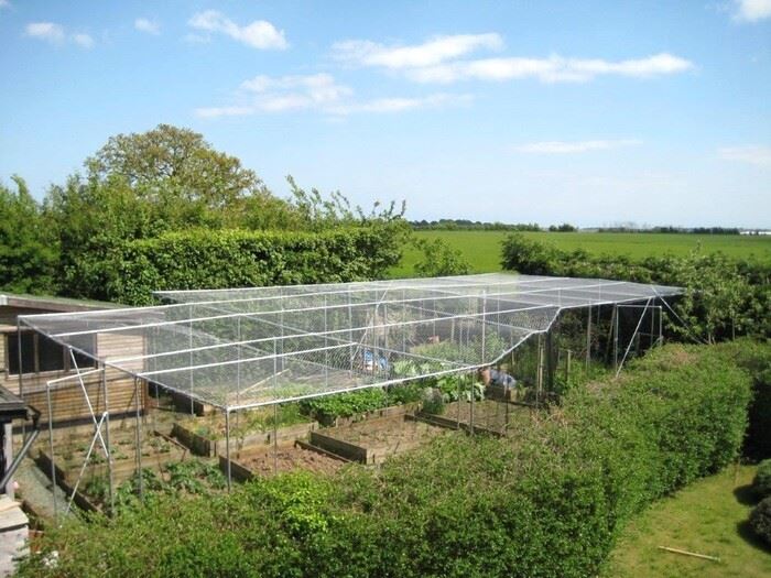 Fruit and vegetable cage built from galvanised pipe and fittings